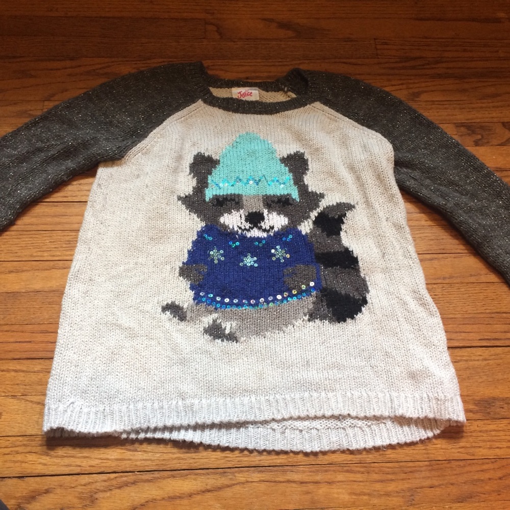 Girls Justice Knit Sweater Size 10 Racoon
